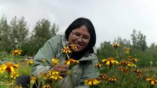 Working for NRCS Alaska: Collaborating with Native Tribes