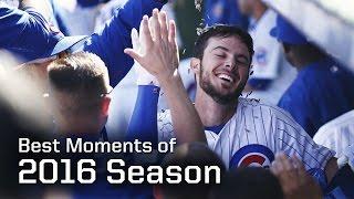 MLB Chicago Cubs Best Moments of 2016 Regular Season - Season Highlights