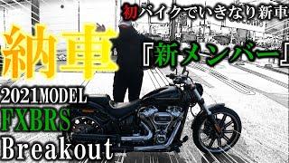 バイク初心者ブレイクアウトを買う！極寒の中ちゃんと乗れるか！？新メンバー登場！【納車】【モトブログ】