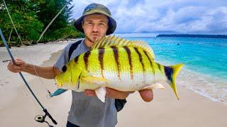 Survival Fishing On A Tropical Island