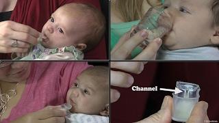 Cup Feeding Breast Milk to an Infant