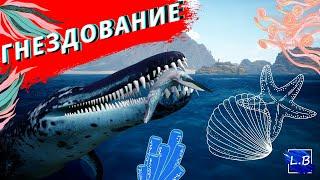 Beasts Of Bermuda КРОНЫ ГНЕЗДОВАНИЕ 1 часть