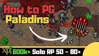 RP 50+ Mother of the Scarabs Cave [Tibia Solo Paladin]