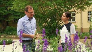 CampusTV Mainz 226 - Garten der Gesundheit