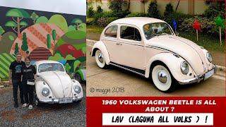 LAV  in Every Detail: Restoring a 1960 Beetle to 95% Original Glory! (Post- VALENTINES SPECIAL)