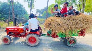 Mini Mahindra Tractor Collected Hay From The Field And Brought It | Mini Tractor | Farmer Video