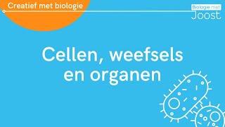 Cellen, weefsels en organen | Creatief met Biologie