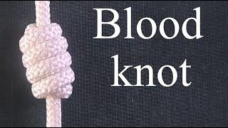 Sea Knots - Blood knot. / Кровавый узел.