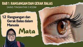 SainsT3 : MATA : Bab1 : 1.2