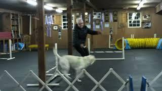 Nice handling 11 28 2022