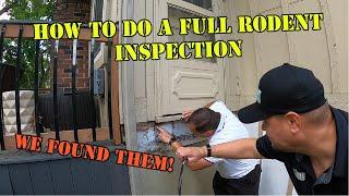 How to do a mouse or rat inspection on a home. #mouse #pestcontrolguys