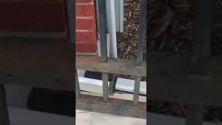 IRON GATE DESIGN - DIY Satisfying Rust Removal  #shorts #exteriorpainting #wroughtiron