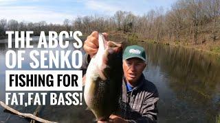 ABC's of bank Senko fishing for fat, fat Bass!