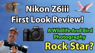 Nikon Z6iii Review For Wildlife And Bird Photographers (First Look Review!)