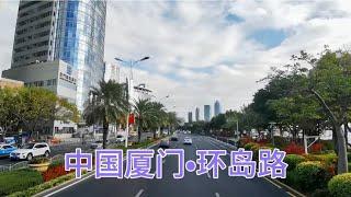 公交车上实拍厦门环岛路，中国最美的沿海城市，比青岛大连漂亮