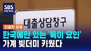 "한국에만 있는 '특이 요인', 가계 빚더미 키웠다" / SBS / 친절한 경제