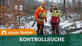 Kontrollsuche auf Schwarzwild I Nachsuche I Drückjagd im uJ-Testrevier I unser Revier / #16