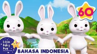 Kelinci Lucu Yang Imut | Little Baby Bum | Kartun dan Lagu Anak | Moonbug Kids Indonesia