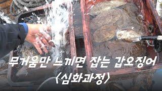 지구상에서 가장 쉬운 갑오징어 낚시. 심화과정