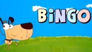 Nursery Rhymes for Children : BINGO Song | HooplaKidz TV