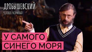 Когда древние люди научились плавать // Дробышевский. Человек разумный