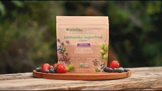 Immunity Superfood Powder - Nutrilite Organics | Amway