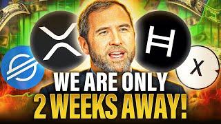 Ripple CEO Just CONFIRMED The "TRUMP" Bull Run | XRP XLM XDC & HBAR