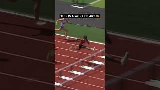 That Hurdle Technique Is Flawless 