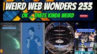weird web wonders 233