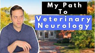 How I Became a Veterinary Neurologist