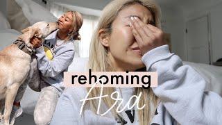 Rehoming my dog Ara | Ep 6 | RRAYYME