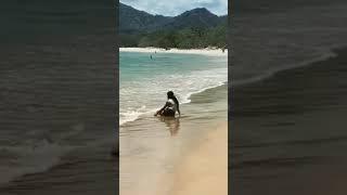 Calming waves of an almost deserted beach. #offthebeatenpath #costarica #shorts