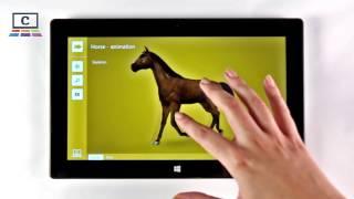 Corinth Classroom Horse in motion