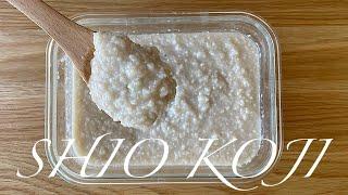 How to make SHIO KOJI - Japanese fermented condiment  - Japanese Mum Cooking