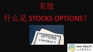 [LIVE] 什么是Stocks Option (期权）？期权风险高回报大？一个月盈利20%，期权真的很好赚吗？