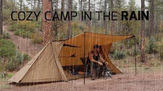 Solo Camping in Rain, Relaxing In Tent Shelter with My Dog, ASMR