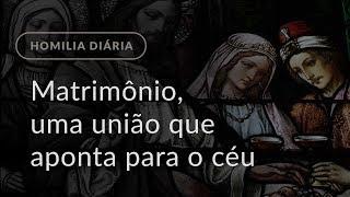 Matrimônio, uma união que aponta para o céu (Homilia Diária.1096: Sexta-feira da 7.ª Semana Comum)