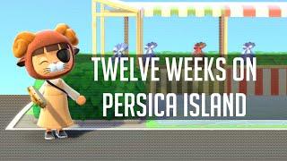 Animal Crossing Twelve Week Progress - NO TIME TRAVEL