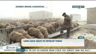 Land lease helps to develop farms - Kazakh TV