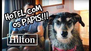 Dicas para levar seu Pet para um Hotel!