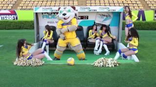 Harlem Shake al estilo de Tigres UANL