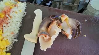 Best Tropical Conch Salad in Nassau, Bahamas
