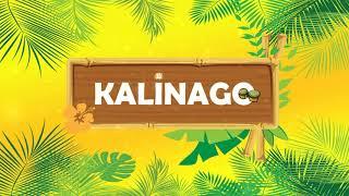 Soca Instrumental  "KALINAGO" SOCA RIDDIM 2024