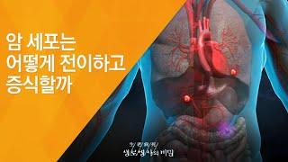 암 세포는 어떻게 전이하고 증식할까 - (20120225_403회 방송)_암의 파괴적 본능, 재발과 전이