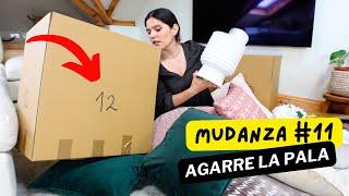 10 DIAS para DESARMAR la CASA!  MUDANZA 11