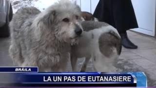 LA UN PAS DE EUTANASIERE