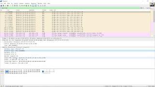 7.1.6 Lab - Use Wireshark to Examine Ethernet Frames