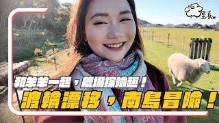 渡輪運露營車！威靈頓吃可頌、墨鏡飛走，住農場Airbnb！｜紐西蘭 New Zealand｜羊里長 Sheep GoGo