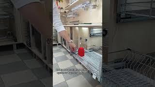 Нижнее наполнение для кухни