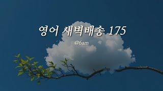  영어 새벽배송 175문장 복습